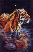 Купающийся тигр 35222