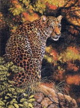 Взгляд леопарда 35209