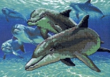 Глубоководные дельфины 06944