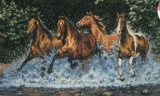 Бегущие лошади... 35214