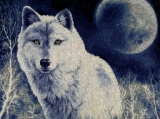 "Белый волк" арт. ДЖ-029