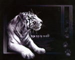 "Белый тигр" арт. Ж-277