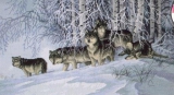 Волки в зимнем лесу 35009