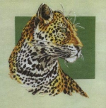 "Леопард" артикул Ж-664